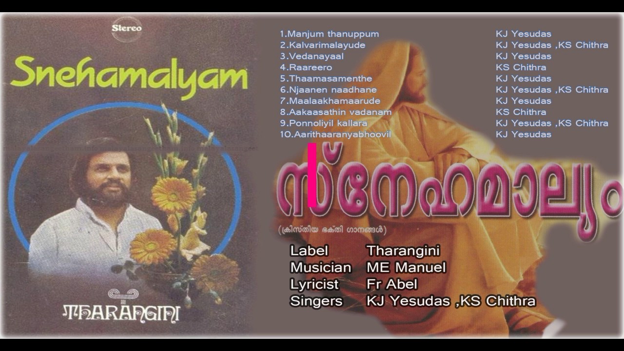 Ponnoliyil Kallara Minnunnu